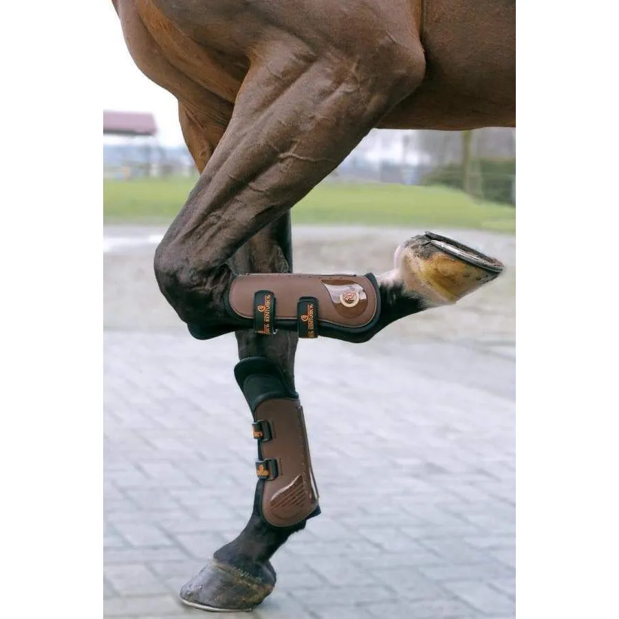 Kentucky Knee Tendon Boots