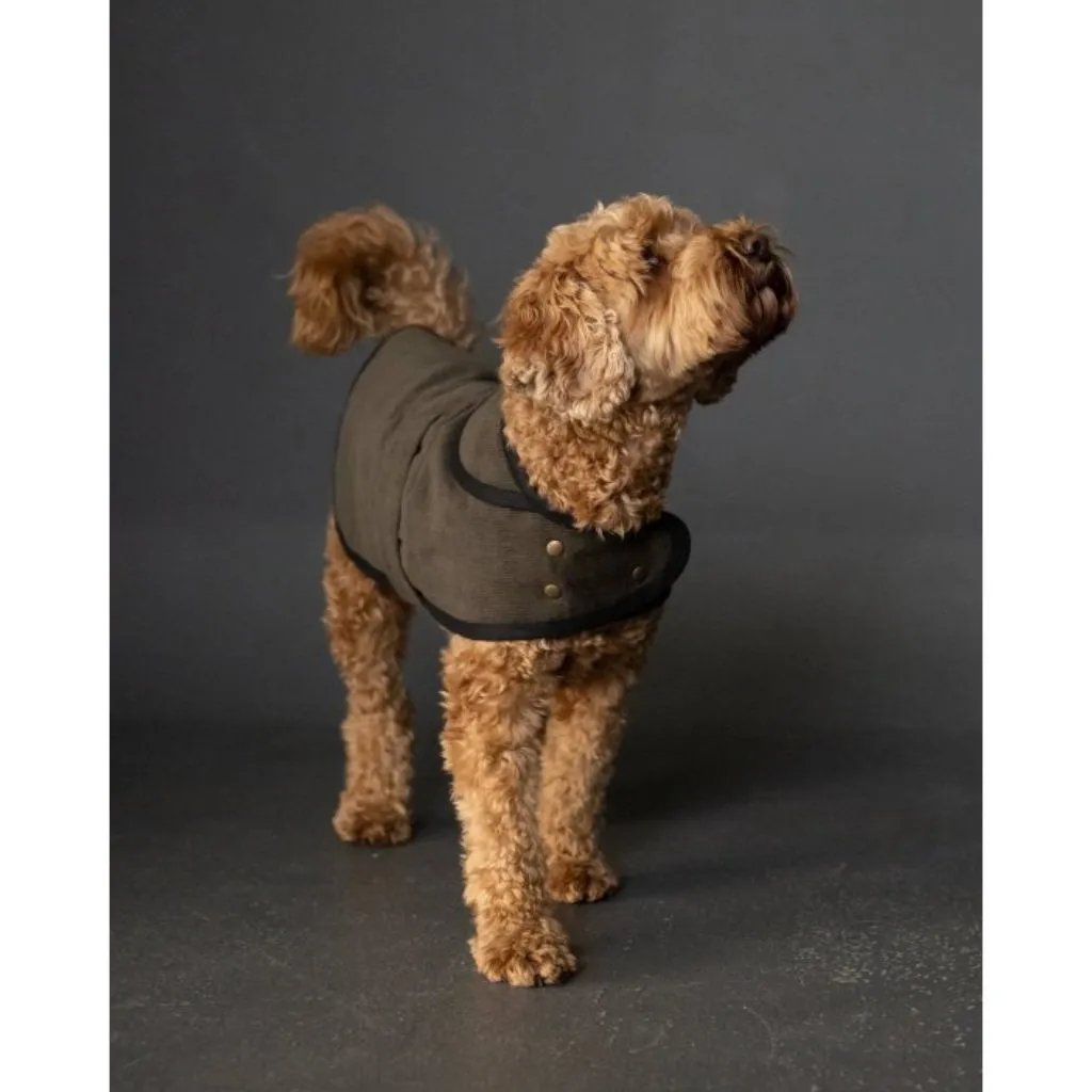 Merchant & Mills Patterns Barka Dog Coat