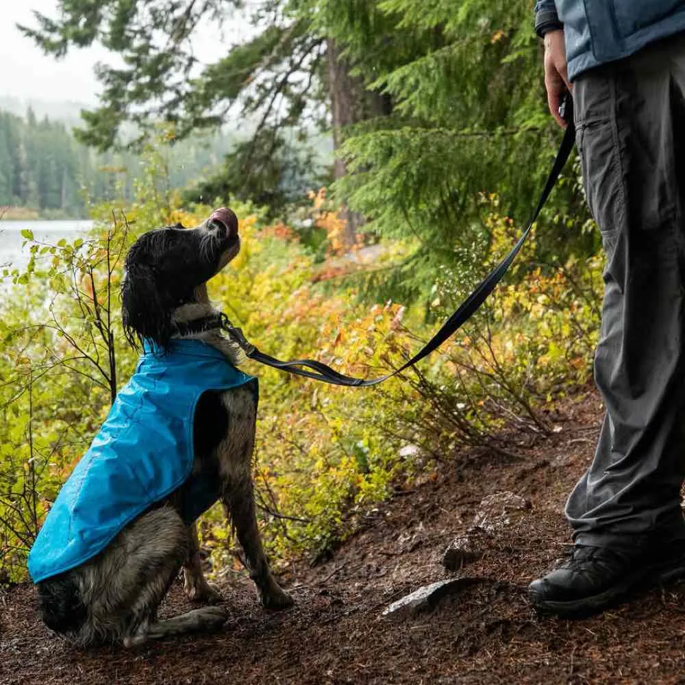 Ruffwear Sun Shower Reflective Lightweight Dog Raincoat (Blue Dusk)