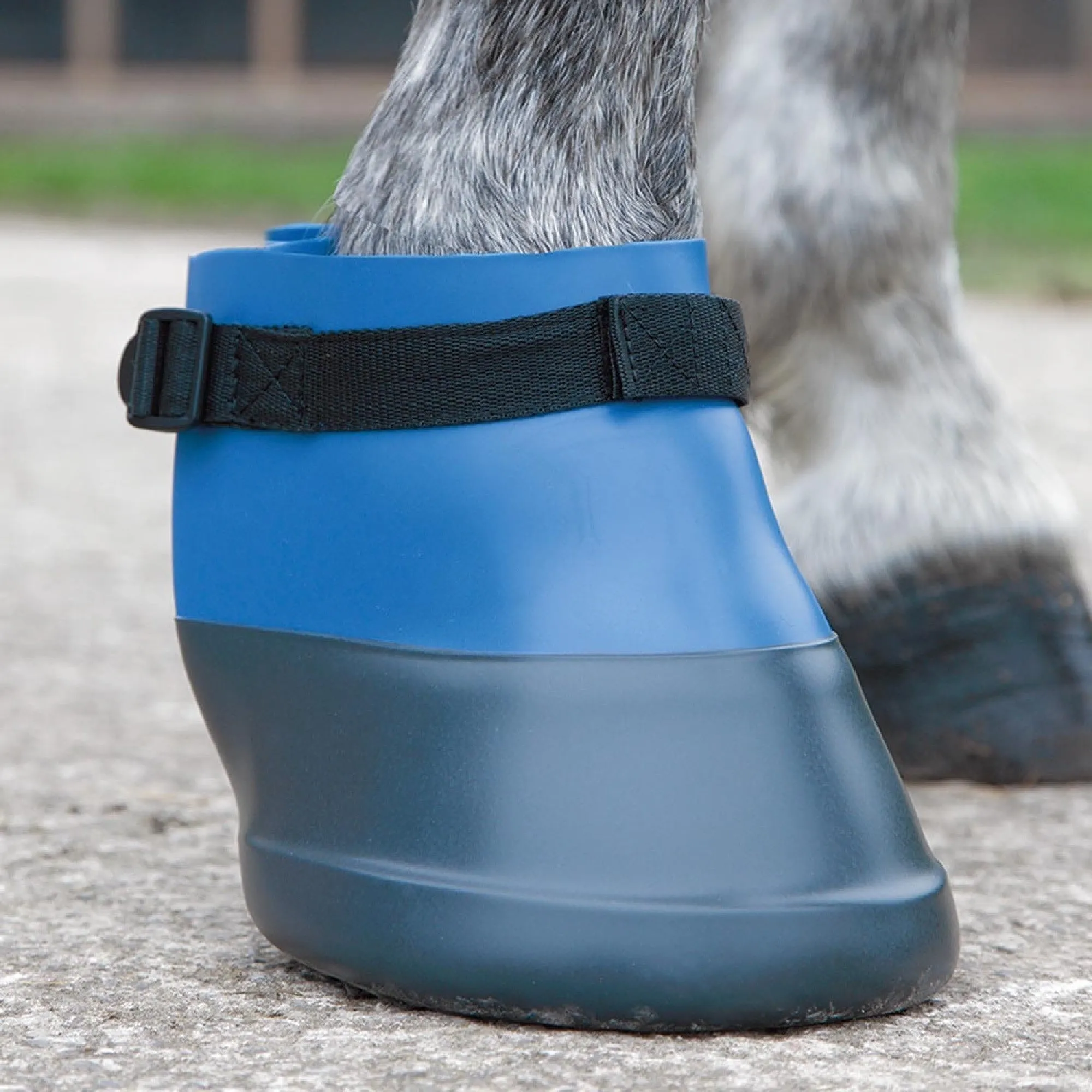 Shires Poultice Boot